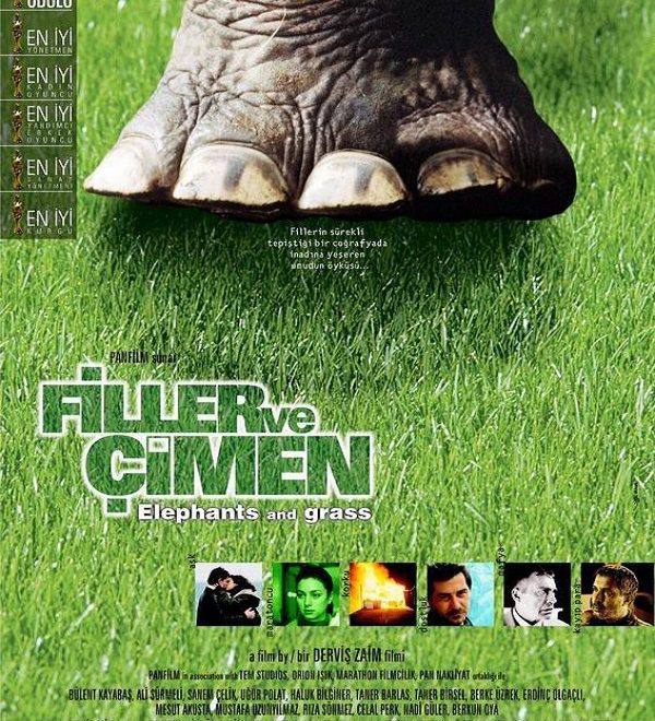 Filler ve Çimen
